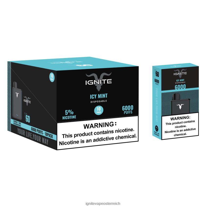 Best IGNITE Flavors - IGNITE V60 Vape Pen 10er-Pack 02LT0020 eisige Minze